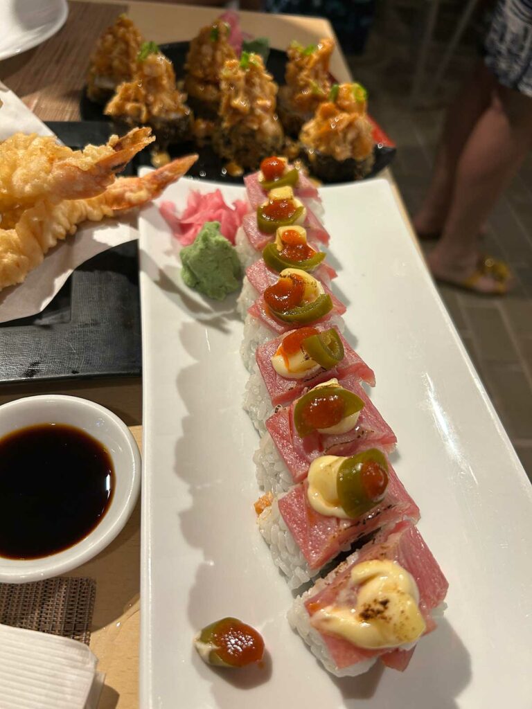 Gros plans sur des sushis