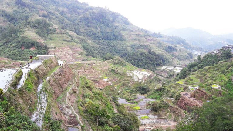 Un paysage de Banaue aux Philippines